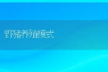 野猪养殖模式