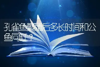 孔雀鱼繁殖后多长时间和公鱼同缸？