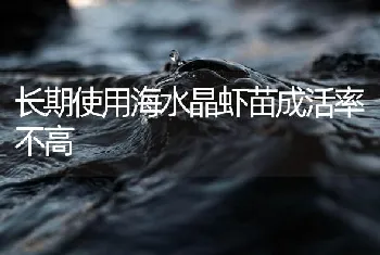 长期使用海水晶虾苗成活率不高