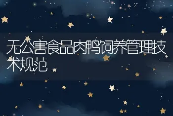 体外消化法评定饲料营养价值的研究进展