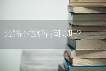 公猫不做绝育可以吗？