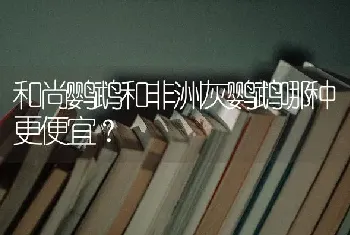 蓝金渐层和布偶配出来的猫？