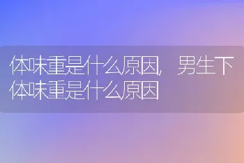 体味重是什么原因，男生下体味重是什么原因