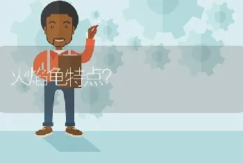 火焰龟特点？