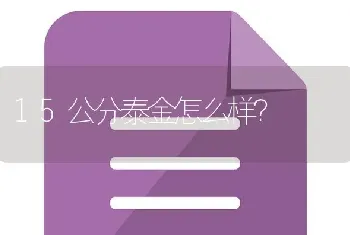 15公分泰金怎么样？