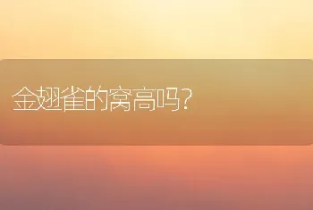 金翅雀的窝高吗？