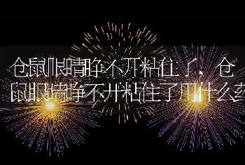 仓鼠眼睛睁不开粘住了，仓鼠眼睛睁不开粘住了用什么药