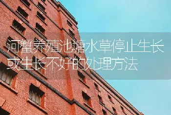 河蟹养殖池塘水草停止生长或生长不好的处理方法