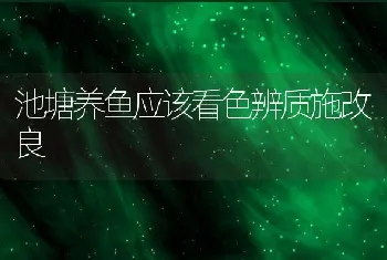 池塘养鱼应该看色辨质施改良