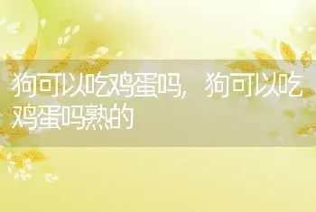 狗可以吃鸡蛋吗，狗可以吃鸡蛋吗熟的