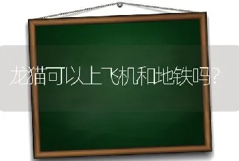 龙猫可以上飞机和地铁吗？