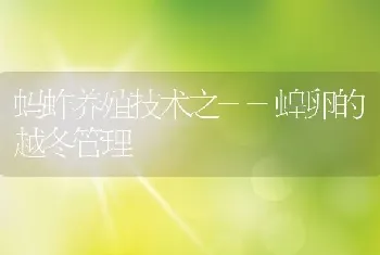 蚂蚱养殖技术之--蝗卵的越冬管理