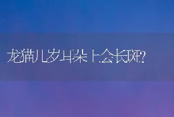 龙猫几岁耳朵上会长斑？