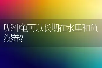 哪种龟可以长期在水里和鱼混养？