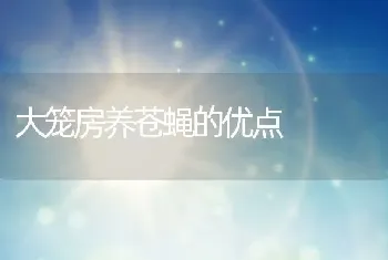 大笼房养苍蝇的优点