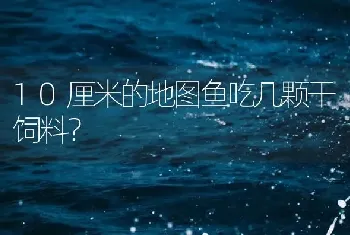 10厘米的地图鱼吃几颗干饲料？