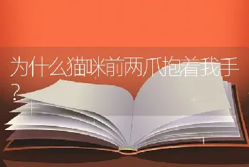 为什么猫咪前两爪抱着我手？