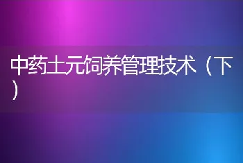 中药土元饲养管理技术（下）