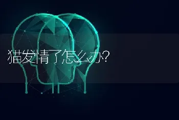 狗狗怀孕每周变化？