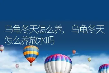 乌龟冬天怎么养，乌龟冬天怎么养放水吗