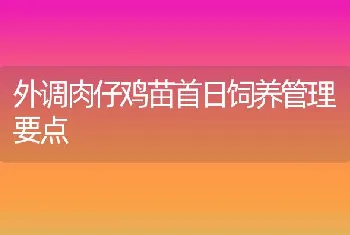 外调肉仔鸡苗首日饲养管理要点