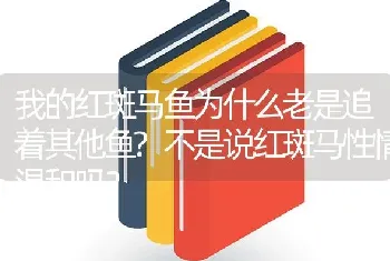 我的红斑马鱼为什么老是追着其他鱼？不是说红斑马性情温和吗？