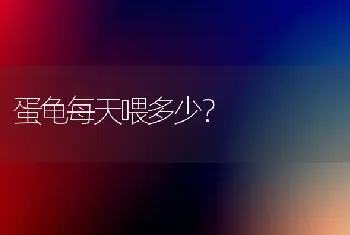 蛋龟每天喂多少？