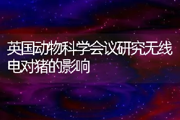 提高黄鳝下箱的成活率和开口率１１大问题（1）