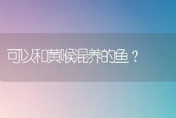 金毛怀孕40天了,肚子看不出来有什么变化,正常吗这样？