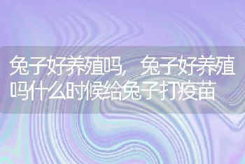 兔子好养殖吗，兔子好养殖吗什么时候给兔子打疫苗