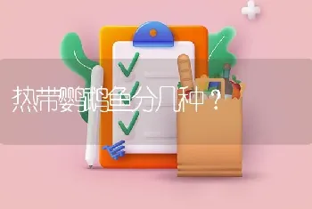 热带鹦鹉鱼分几种？