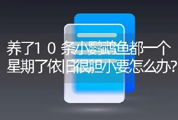 养了10条小鹦鹉鱼都一个星期了依旧很胆小要怎么办？