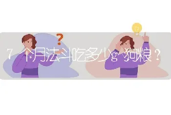 7个月法斗吃多少g狗粮？