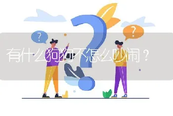 有什么狗狗不怎么吵闹？