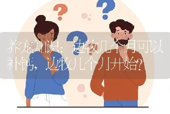 养宠知识：边牧几个月可以补钙，边牧几个月开始？