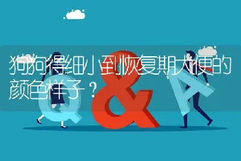 狗狗得细小到恢复期大便的颜色样子？