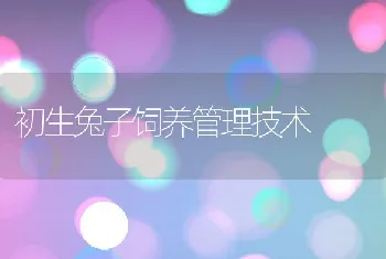 皖：四项技术措施让池塘健康养殖标准化