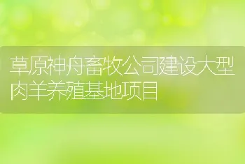 草原神舟畜牧公司建设大型肉羊养殖基地项目