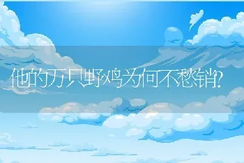 他的万只野鸡为何不愁销？