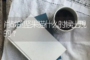 肖战的坚果猫什么时候出现的？