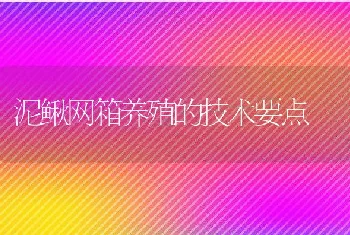 泥鳅网箱养殖的技术要点