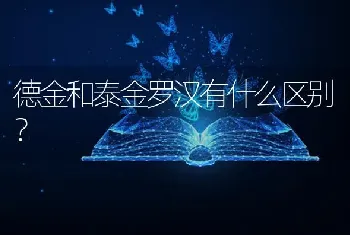 德金和泰金罗汉有什么区别？