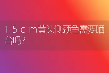 三岁公狗狗还能生吗？