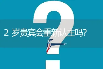 2岁贵宾会重新认主吗？