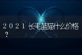 2021长毛蓝猫什么价格？