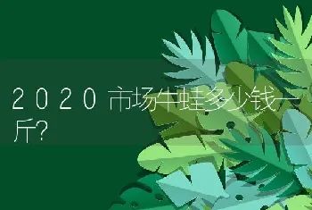 2020市场牛蛙多少钱一斤？