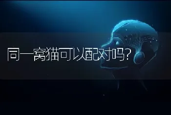 同一窝猫可以配对吗？