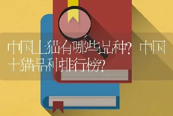 中国土猫有哪些品种？中国土猫品种排行榜？