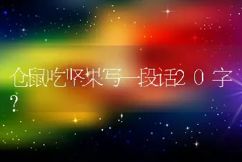 仓鼠吃坚果写一段话20字？