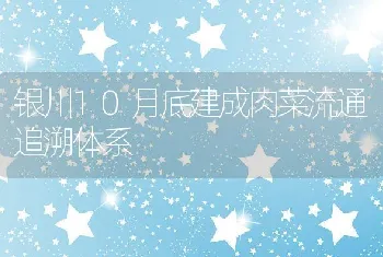 银川10月底建成肉菜流通追溯体系